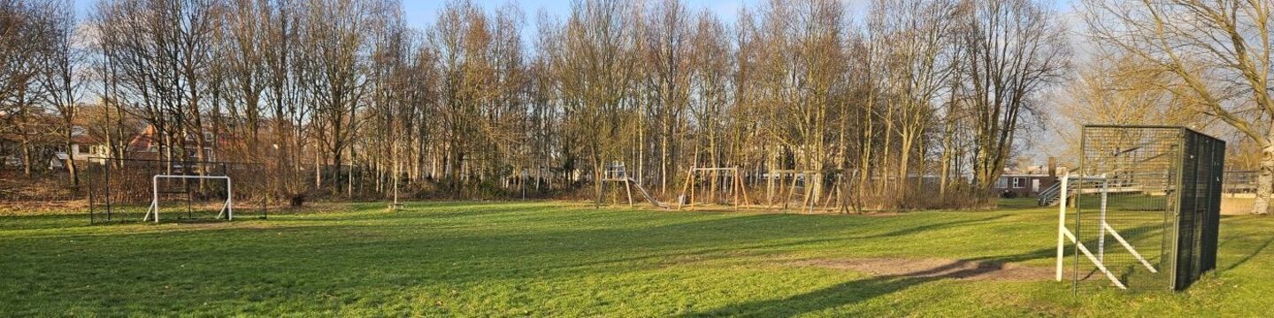 Voetbalveld in Park Overbos
